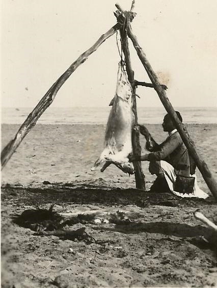 foto16.jpg