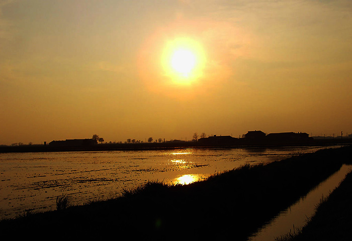 foto1.jpg