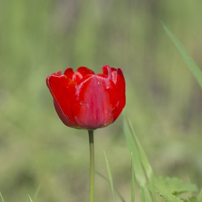 foto1_300_28crop.jpg