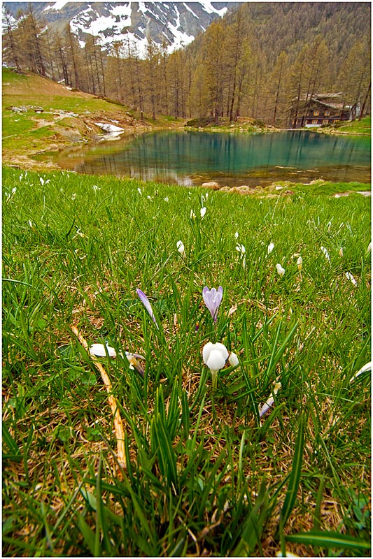 foto1.jpg