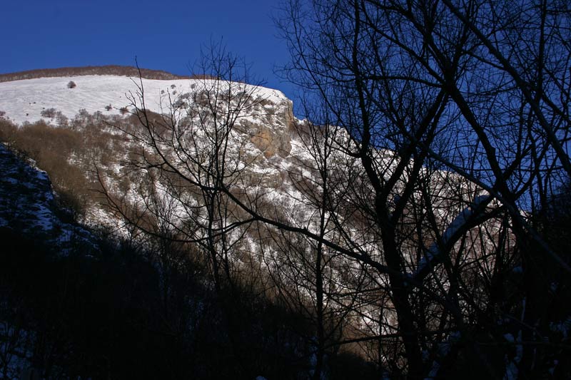 foto1.jpg