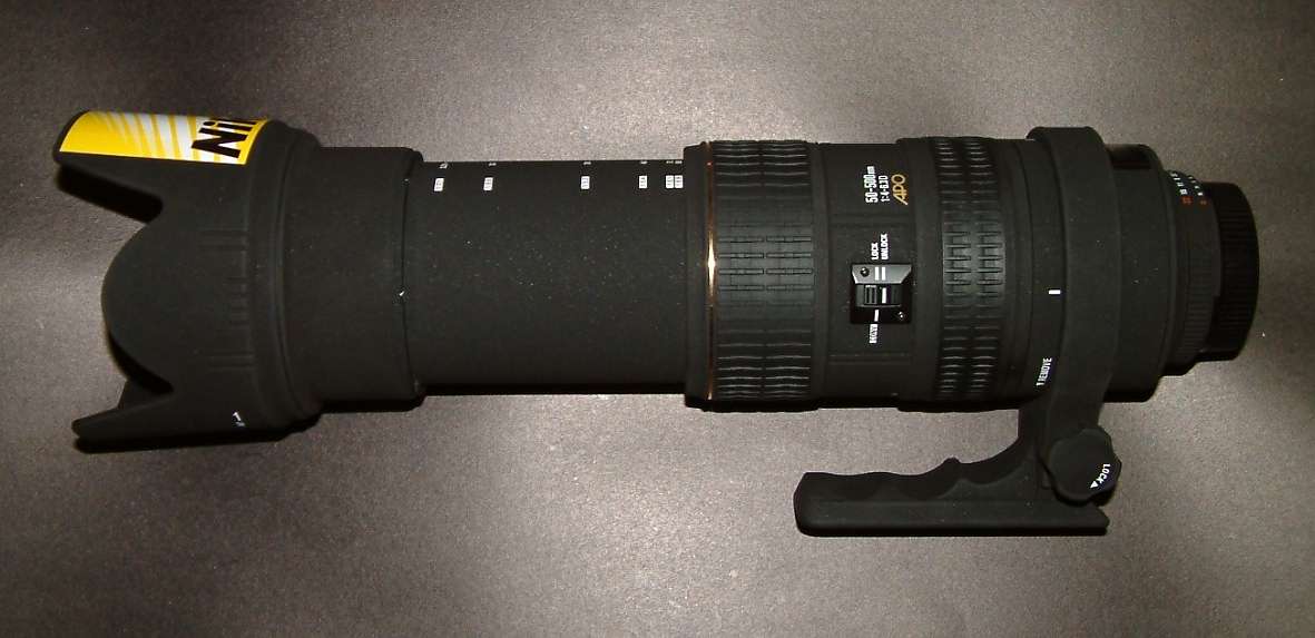 foto1.jpg