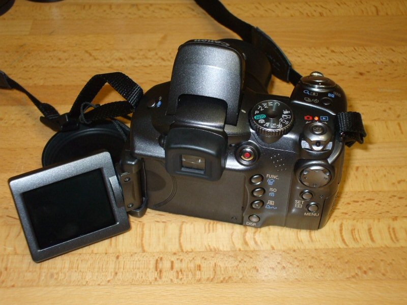 foto2.jpg
