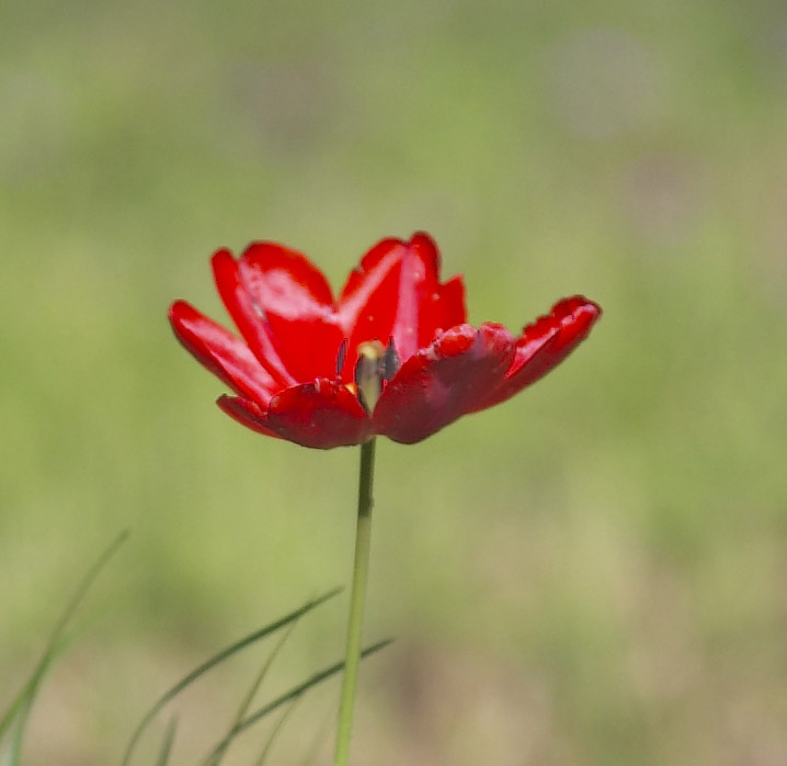 foto2_300_28crop.jpg