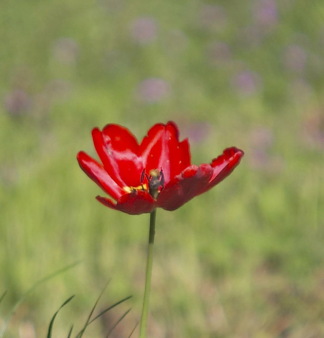 foto2_35350crop.jpg
