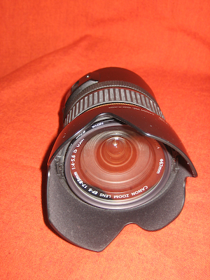 foto350D_009.jpg