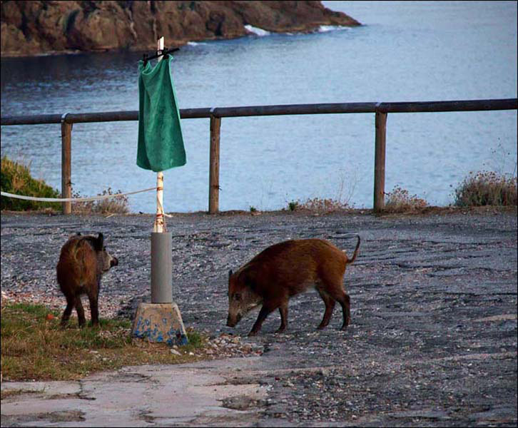 foto3.jpg