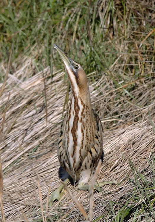 foto4.jpg