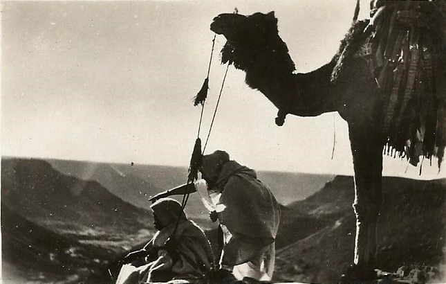 foto8.jpg