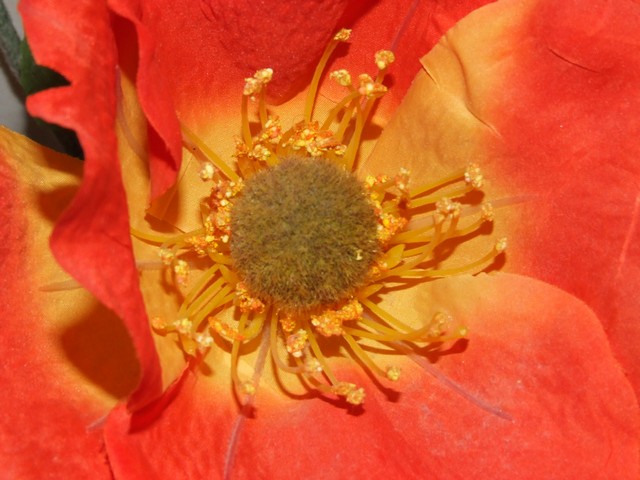 foto 004.jpg