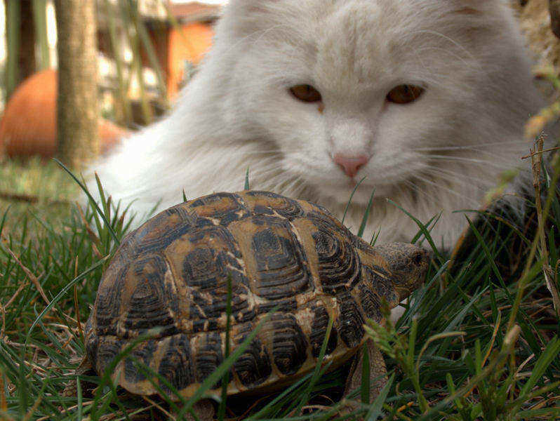 Foto_web.jpg