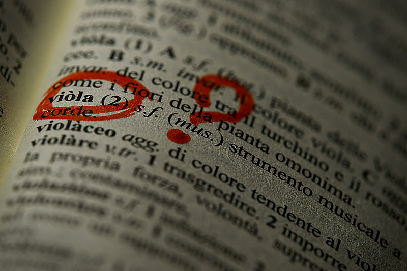 fotocontest viola 9053.jpg