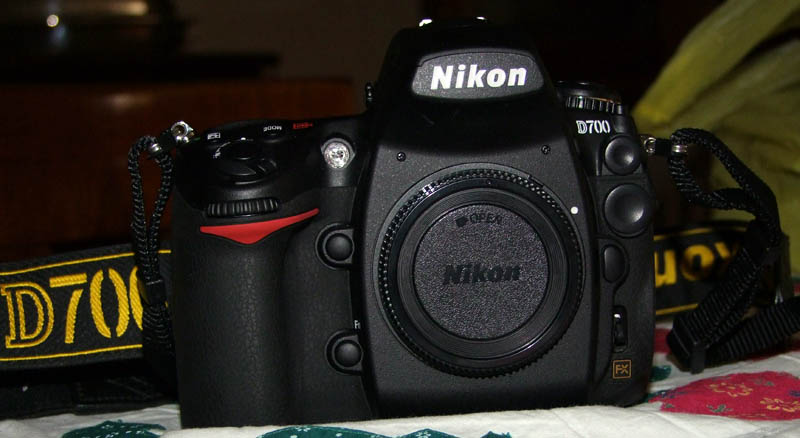 fotod700.jpg