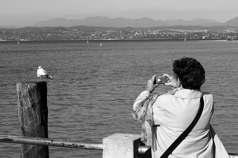fotografaemodelloCROP.jpg