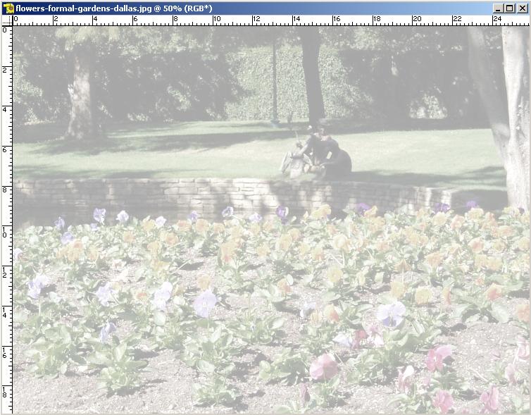 FotoPerSfondo.jpg