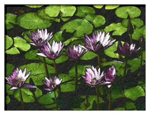 FotoSketcher - Ninfee.jpg