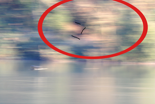 fotostrana4.jpg