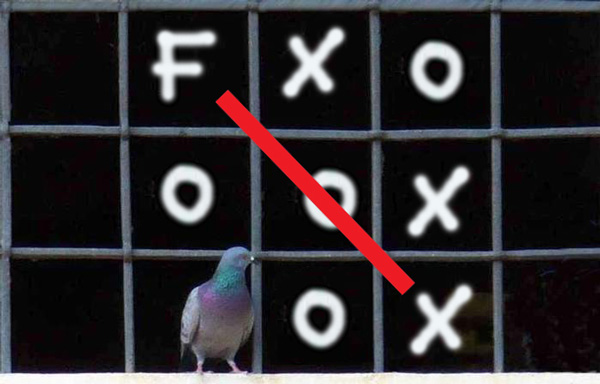 fox.jpg