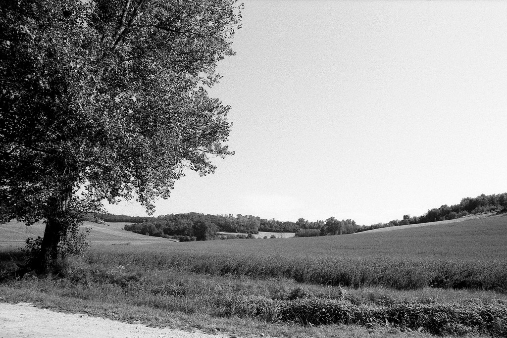 fp4_0211sc.jpg