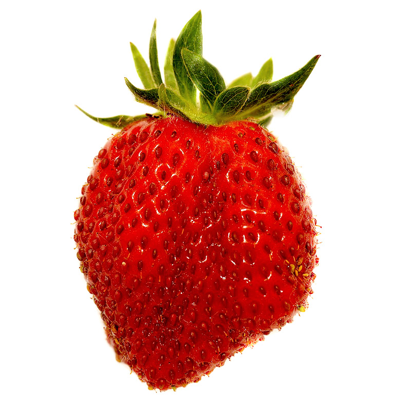 fragola_still.jpg