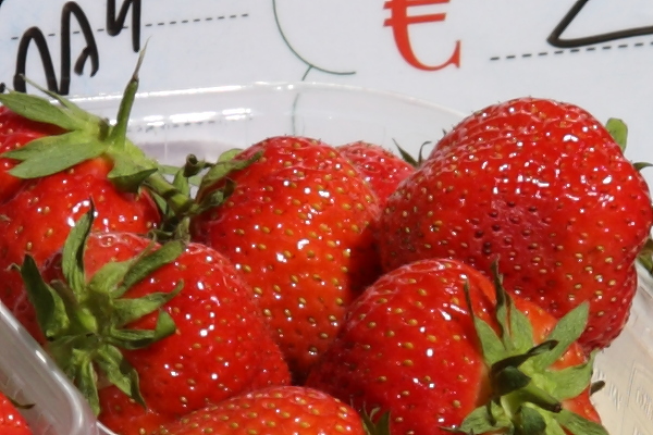 fragole_crop.JPG