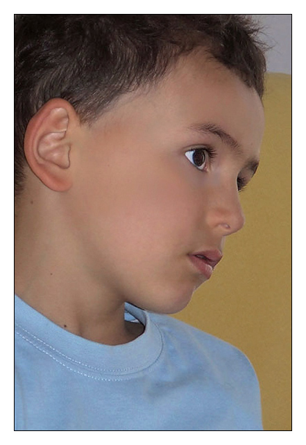 francesco_548b.jpg