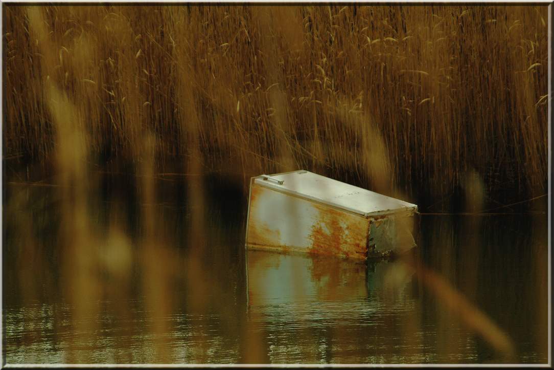 frigo in navigazione.jpg