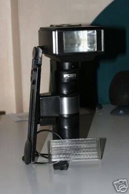 fronte.jpg