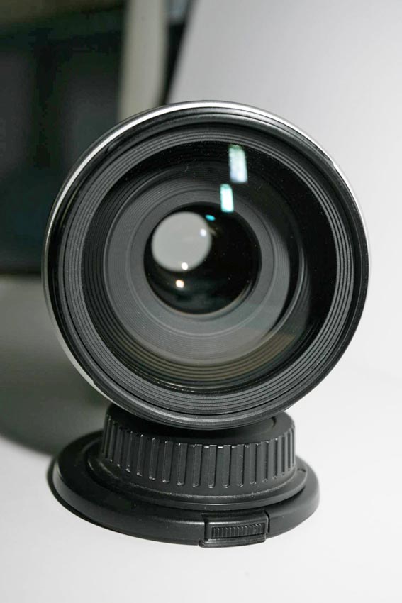 FSS_9146.jpg
