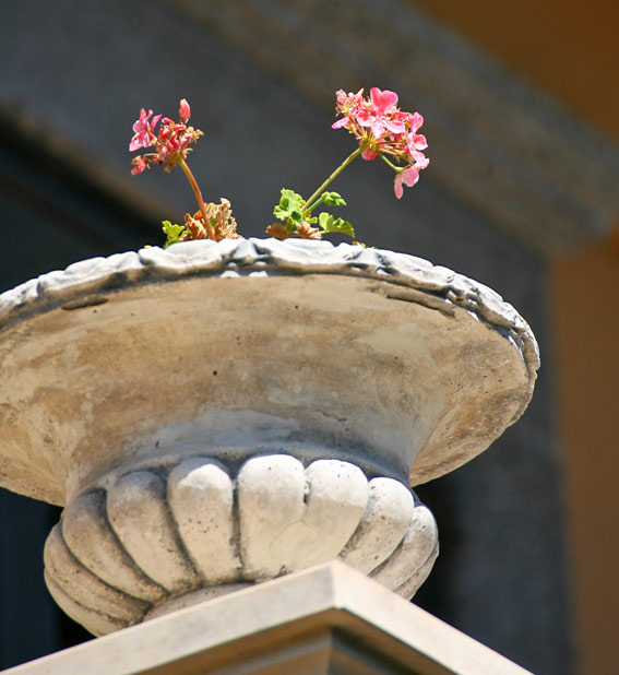 FSS_9179.jpg