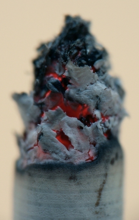 fuego2.jpg