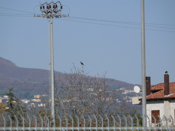 fz50interaiso100P1010469.jpg