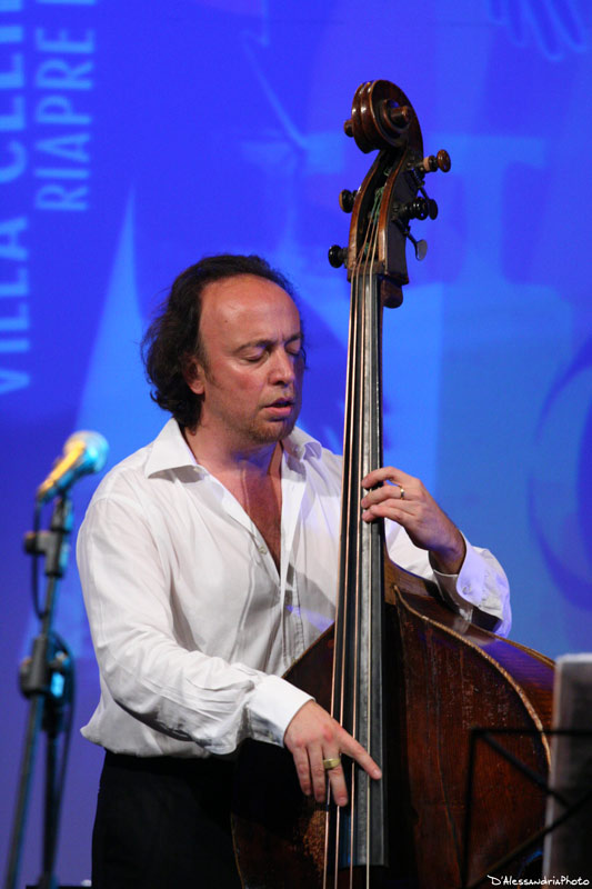 Gatto-008-copia.jpg