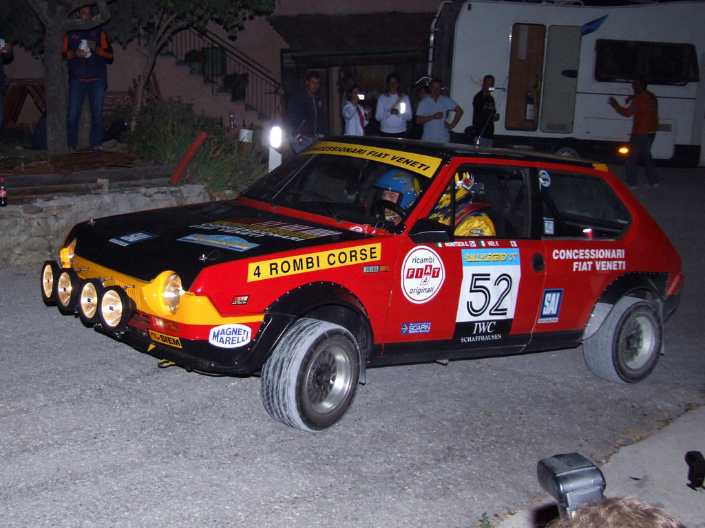 gatto-silvestro.jpg