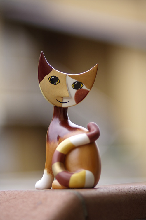 gatto.jpg