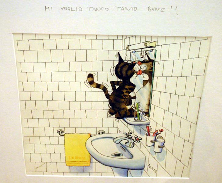 Gatto allo specchio.jpg