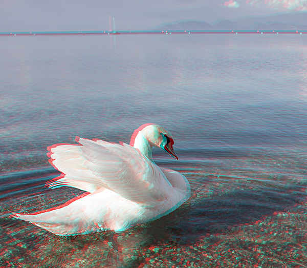 GCF_3119.jpg
