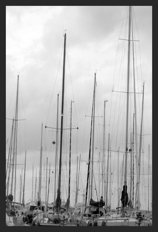 genova3.jpg