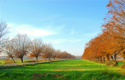 geometrie di campagna.jpg