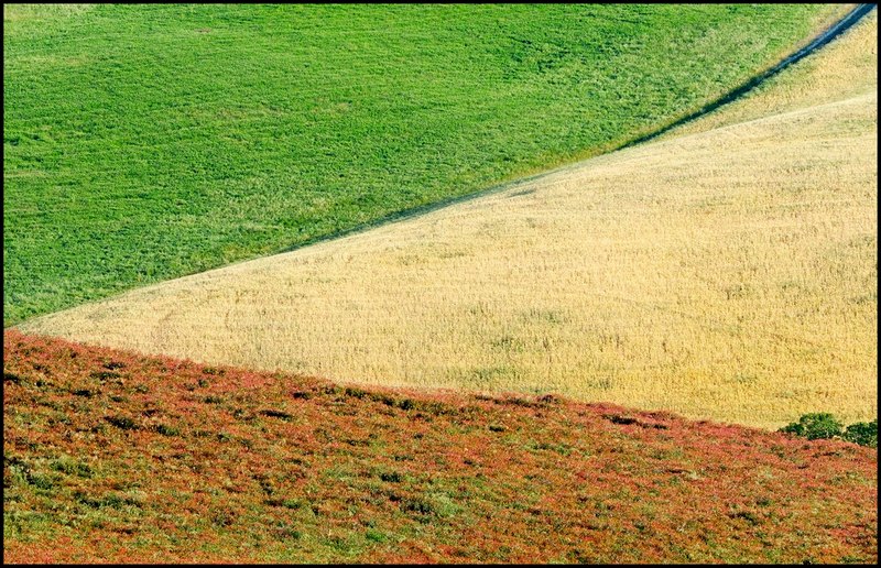 geometrie naturali.jpg