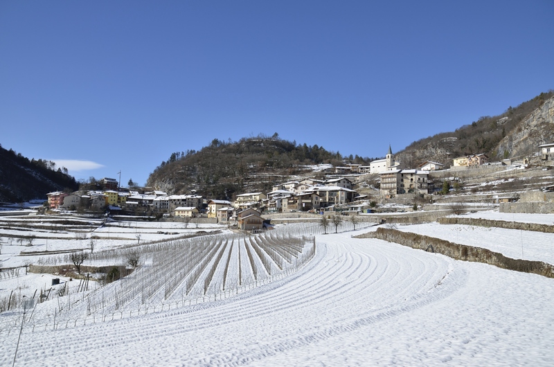 Geometrie rurali invernali originale.jpg