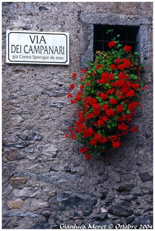 Gerani-via.jpg