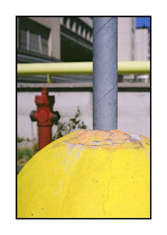 giallo5p.jpg