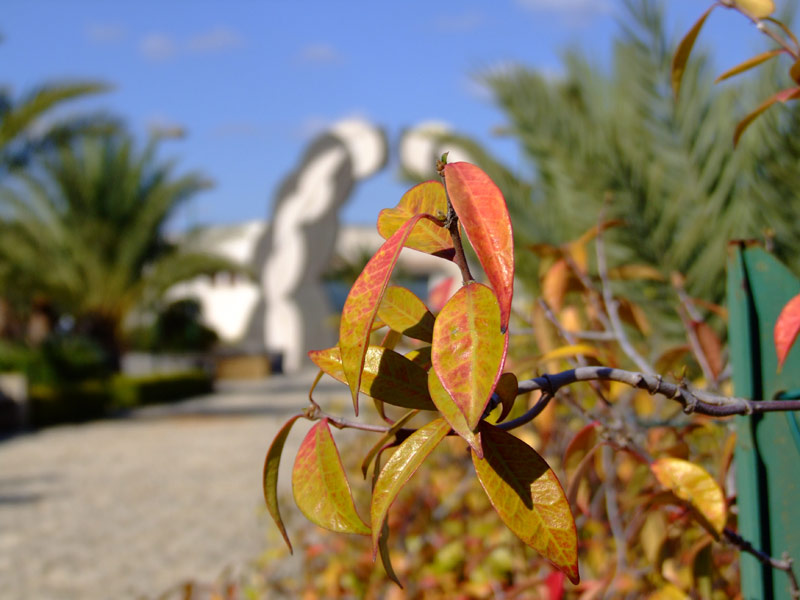 Giardino-botanico-gibellina.jpg