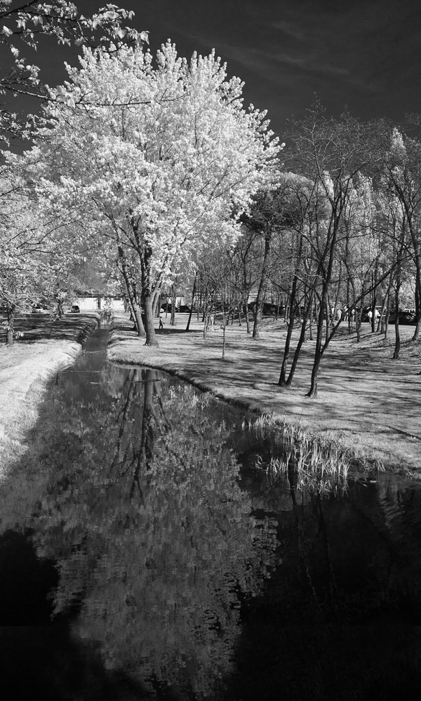 Giardino-di-primavera-BN.jpg