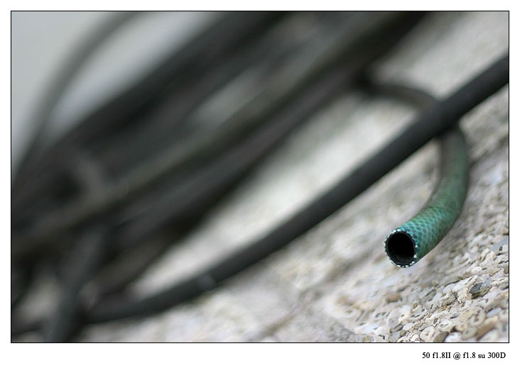 giocando_50f1.8_1.jpg