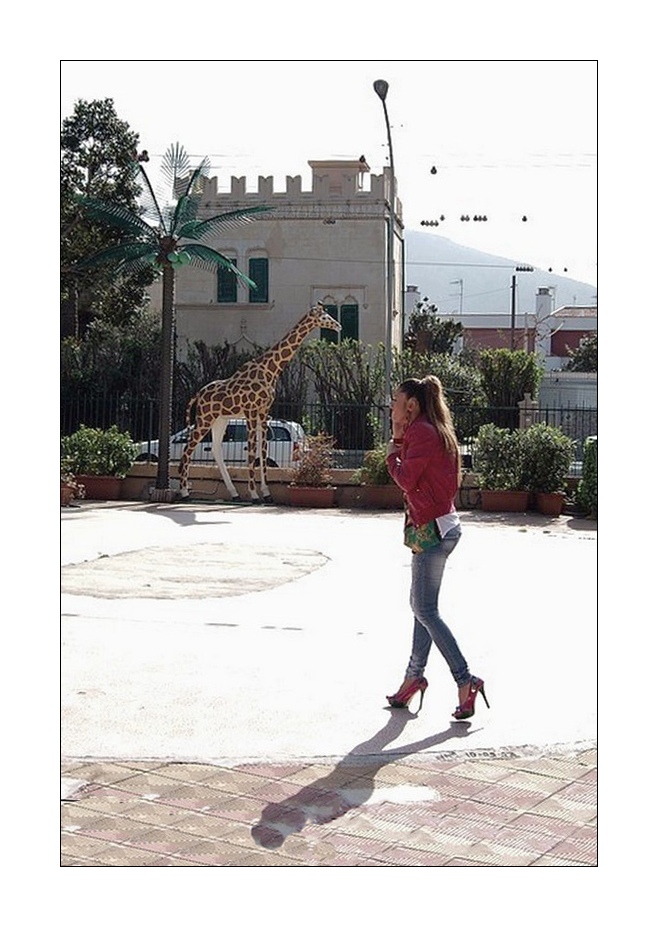 giraffa.jpg