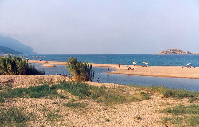 girasole.jpg
