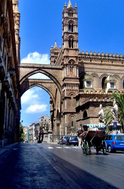 gita in carrozzella.jpg