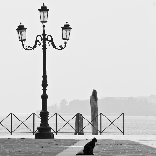 Giudecca nascosta 06_BN.jpg